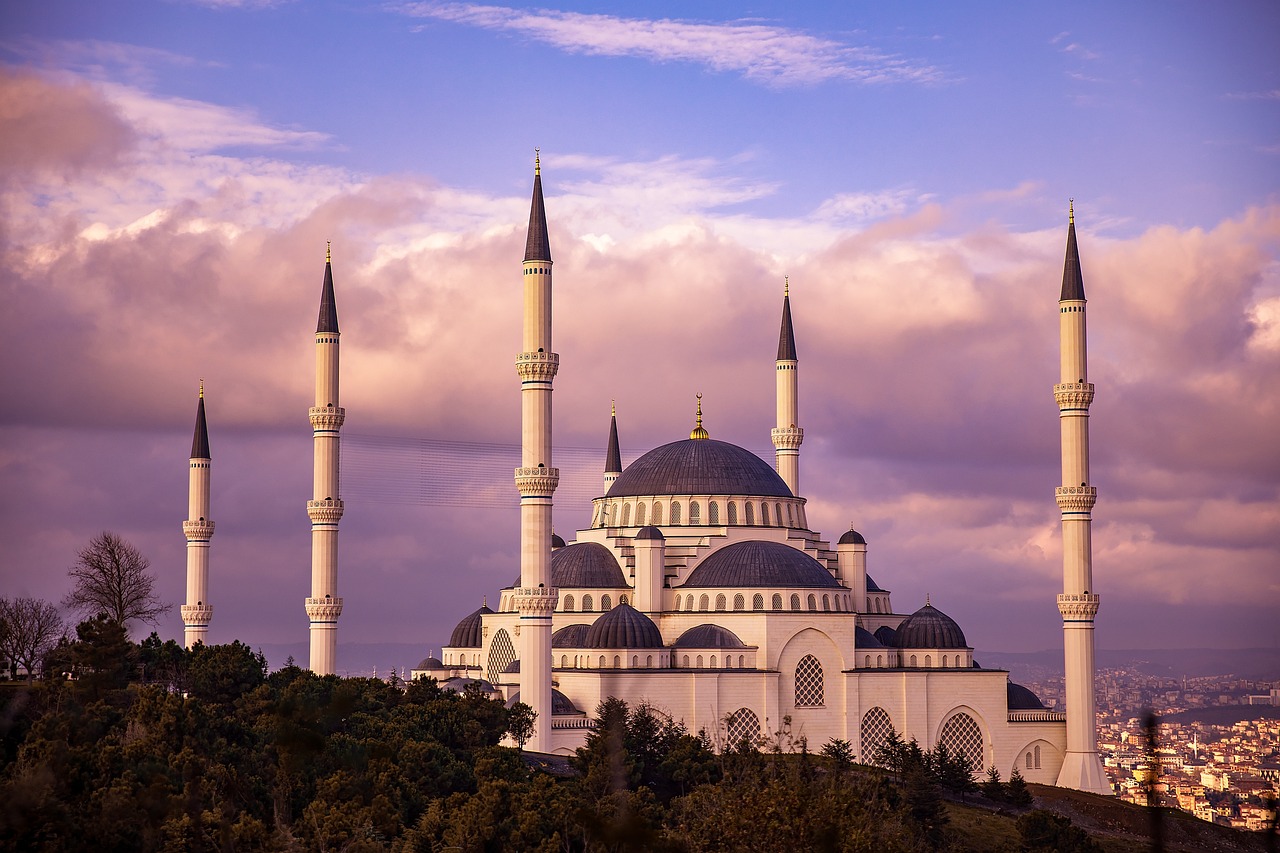 een adembenemend uitzicht op een prachtige moskee in Istanbul