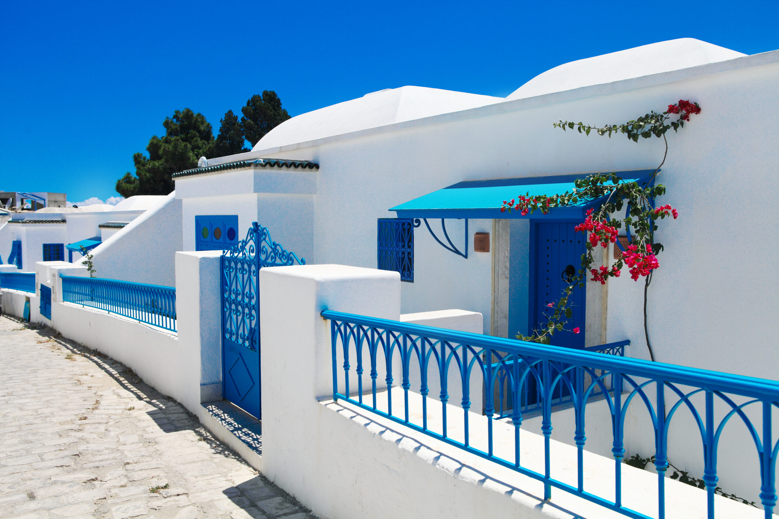 Witte huizen met blauwe accenten in Sidi Bou Said, een populaire halal bestemming.