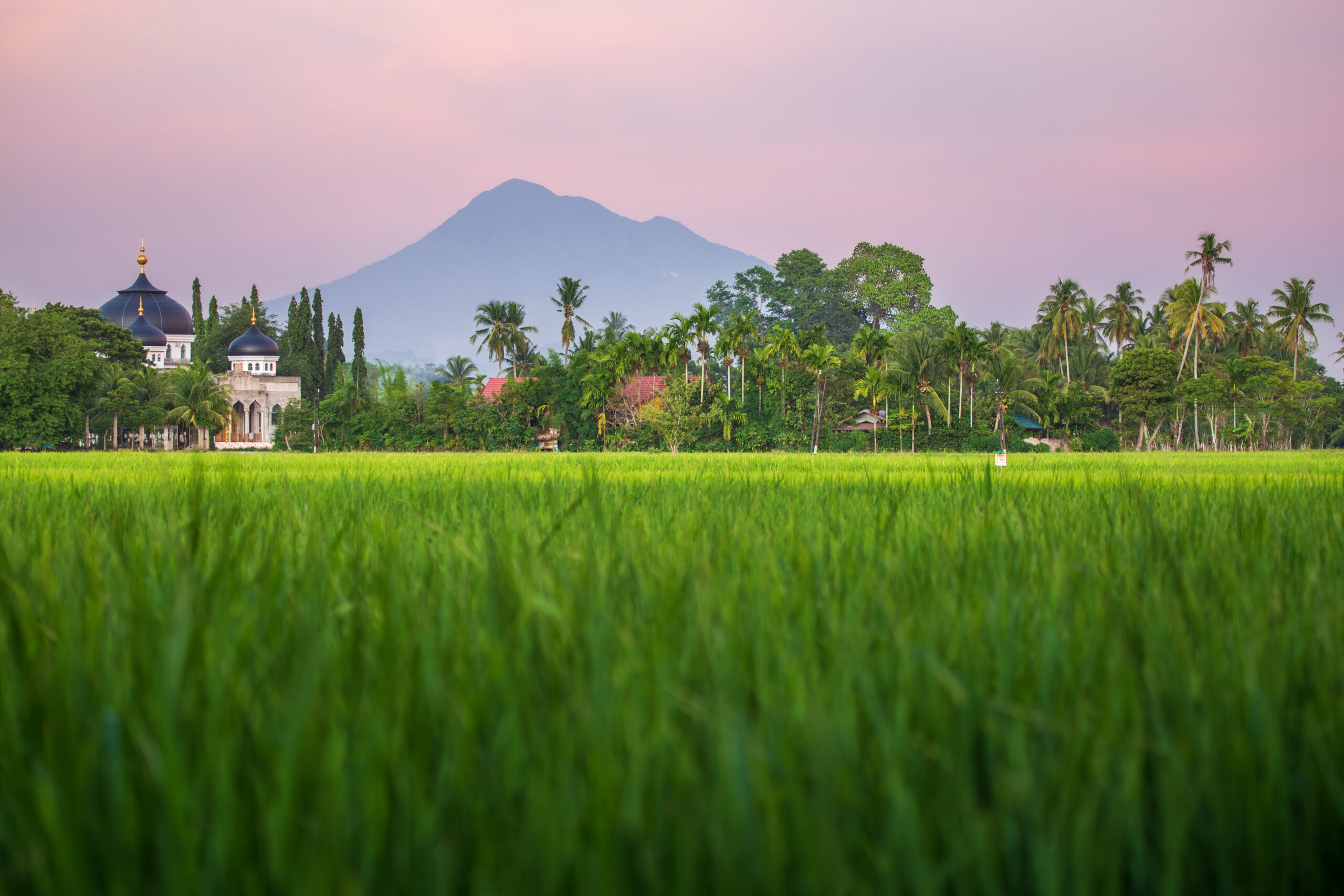 Moskee tussen rijstvelden in Lombok – halal bestemmingen in Azië