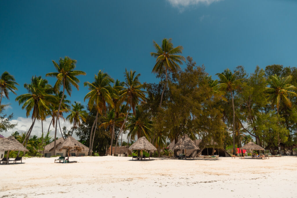Halal strand met palmbomen in Zanzibar, Tanzania – halal vriendelijke bestemming Afrika