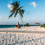 maldives-island-luxury-resort-palm-tree-with-hangi-PMR8TXB.jpg
