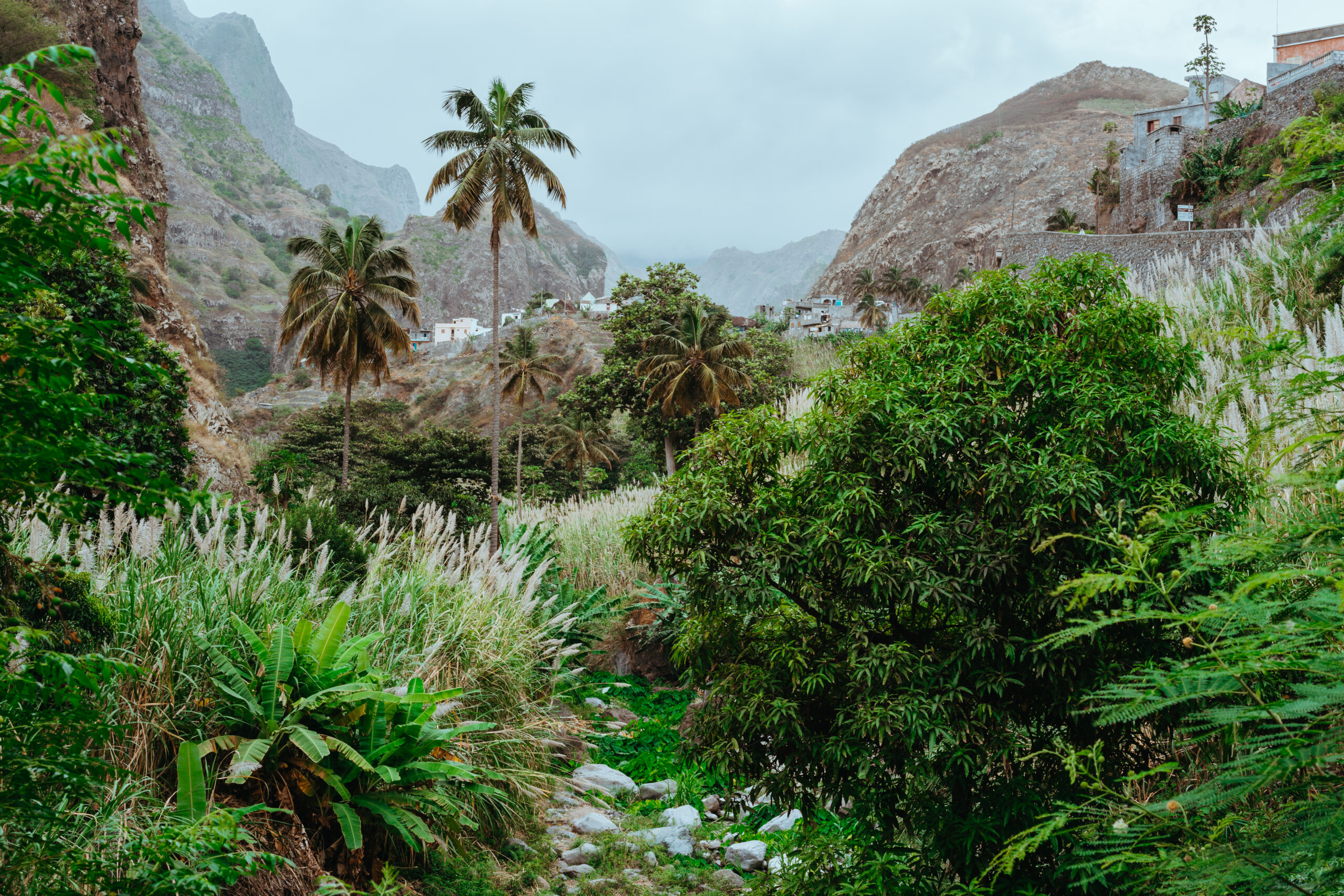 Groene bergvallei met palmbomen en dorpshuizen in Oman – halal-vriendelijke reisbestemming | halalvakantiegids.nl