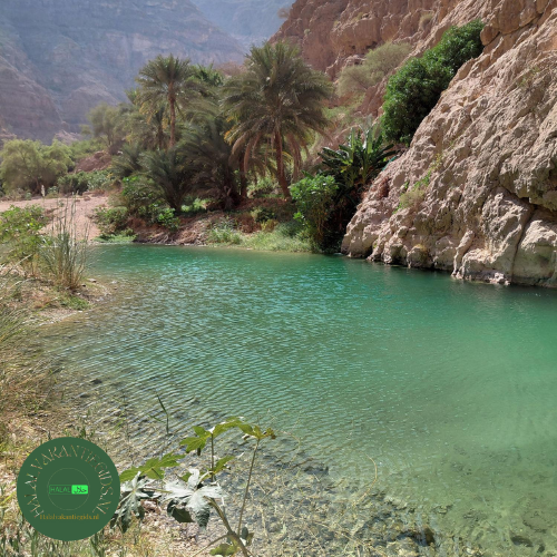 Solo moslim reizen Oman Wadi Bani Khalid turquoise water