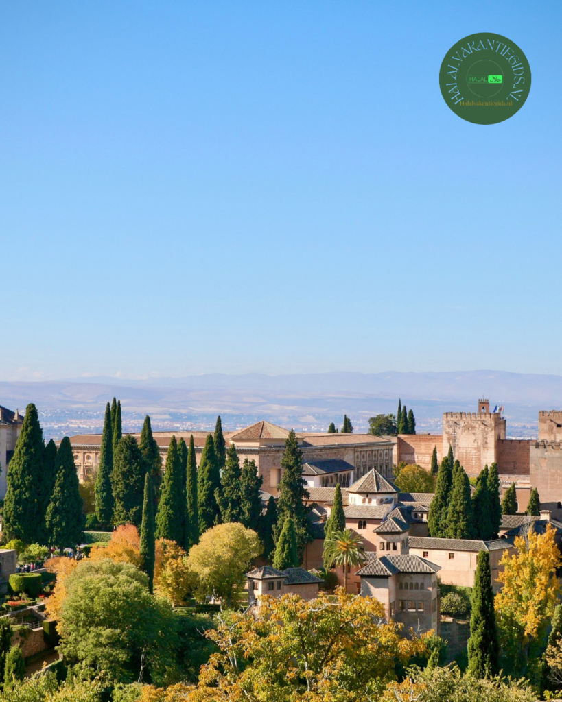 Gebouwen en torens van het Alhambra boven de bomen, met besneeuwde bergen op de achtergrond.