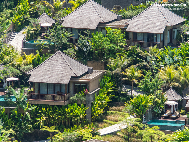 Halal Resort met Zwembad – Perfect voor Halalvakanties Halal resort met privé zwembad en tropische tuin